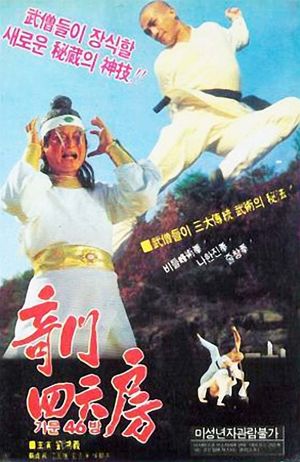 Shaolin Drunk Fighter's poster