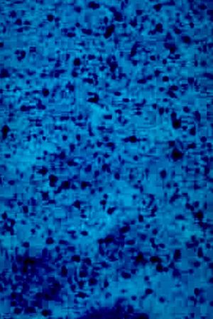 BLAUFILM's poster