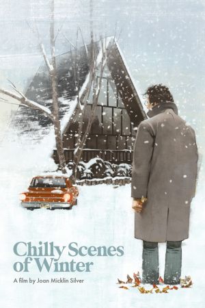 Chilly Scenes of Winter's poster