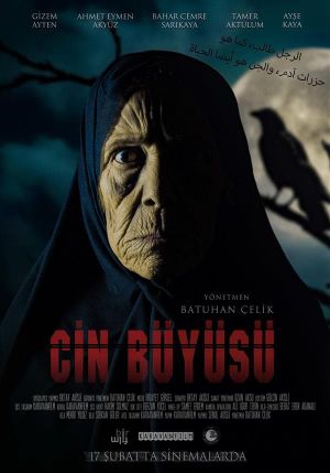 Cin Büyüsü's poster