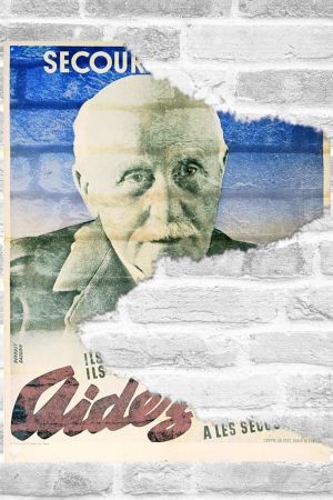Vichy: A Poisonous Memory's poster