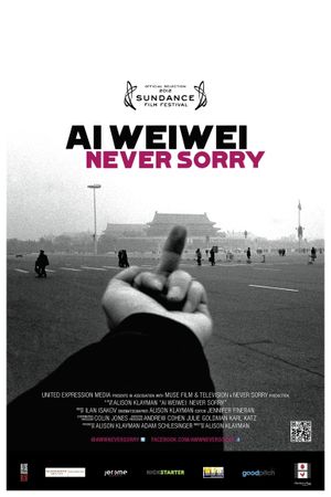 Ai Weiwei: Never Sorry's poster