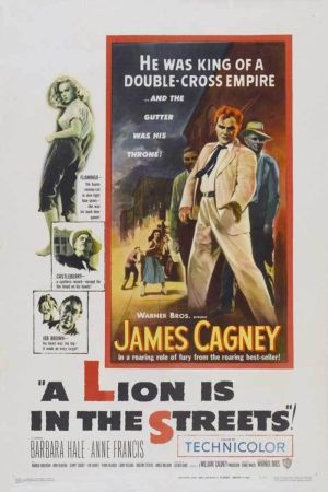 A Lion Is in the Streets's poster