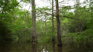 Hugh Hayden: Skeletons in the Swamp's poster