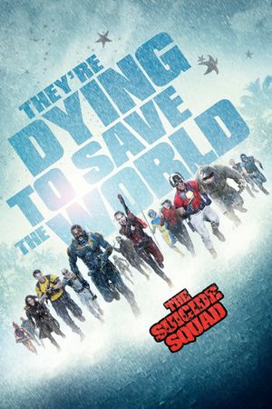 The Suicide Squad's poster