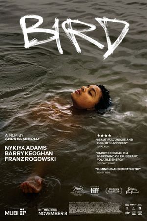 Bird's poster