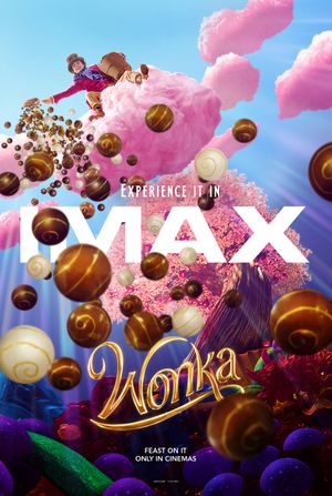 Wonka's poster