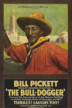 The Bull-Dogger's poster