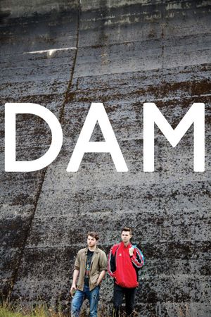 Dam's poster