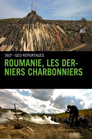 Roumanie, les derniers charbonniers's poster