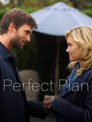 Perfect Plan's poster