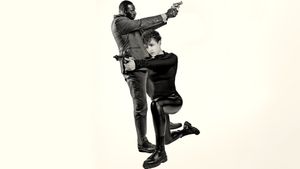 The Killer's poster