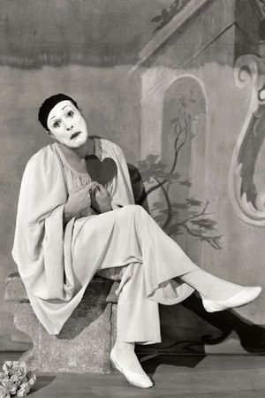 Invitation to the Dance's poster