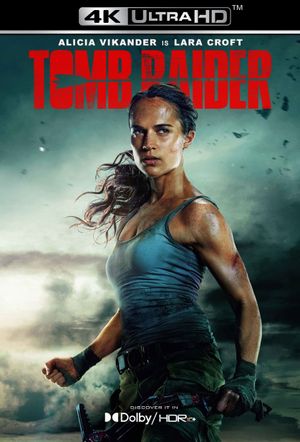 Tomb Raider's poster