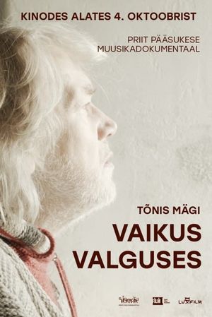 Tõnis Mägi. Vaikus valguses's poster image