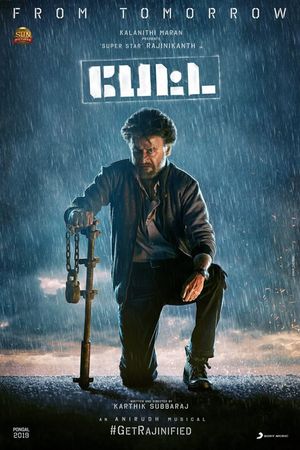 Petta's poster