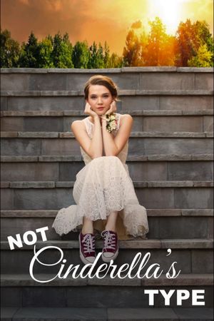 Not Cinderella's Type's poster