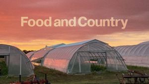 Food and Country's poster