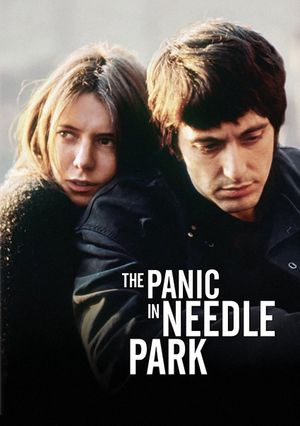 The Panic in Needle Park's poster