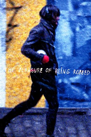 The Pleasure of Being Robbed's poster