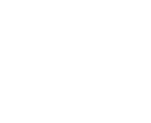Ghost Buddies's poster