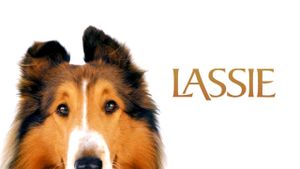 Lassie's poster