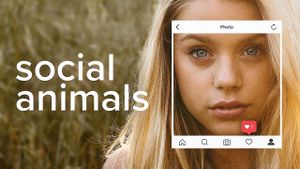 Social Animals's poster