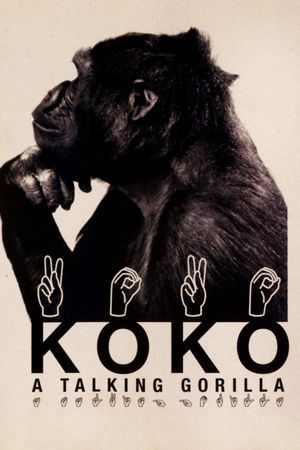 Koko: A Talking Gorilla's poster