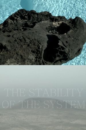 THE STABILITY OF THE SYSTEM's poster