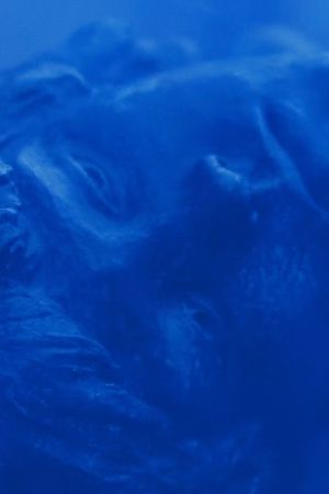 Azul no Azul's poster