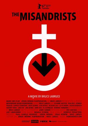 The Misandrists's poster