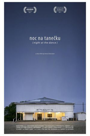 Night at the Dance's poster