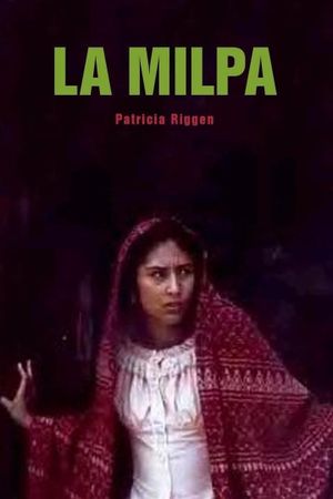 La milpa's poster