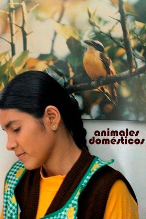 Animales domésticos's poster image