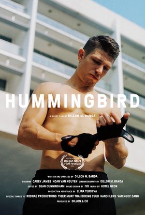 Hummingbird's poster