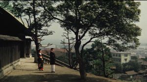 Chivalrous Geisha's poster