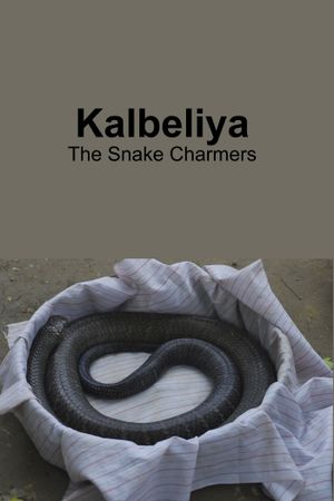 Kalbeliya - The Snake Charmers's poster