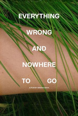 Everything Wrong and Nowhere to Go's poster