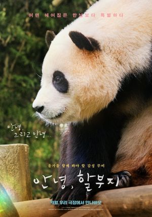My Dearest Fu Bao's poster