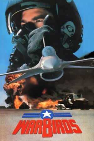 Warbirds's poster