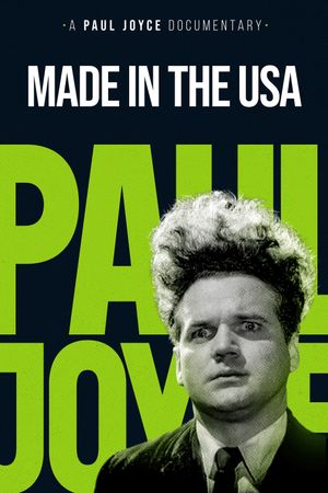 Made in the USA's poster image
