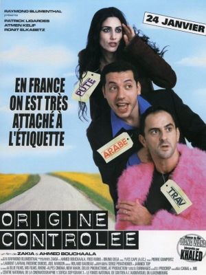 Made in France's poster