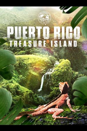 Puerto Rico: Treasure Island's poster