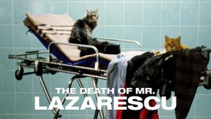 The Death of Mr. Lazarescu's poster