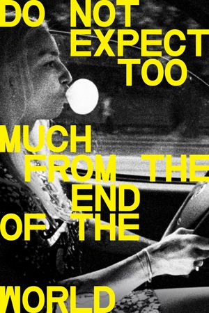 Do Not Expect Too Much from the End of the World's poster