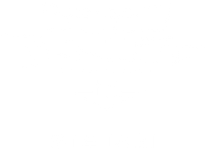 Digimon Adventure tri. Part 1: Reunion's poster