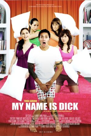 My Name Is Dick's poster