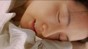 Lady Vengeance's poster
