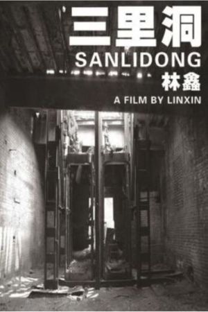 Sanlidong's poster