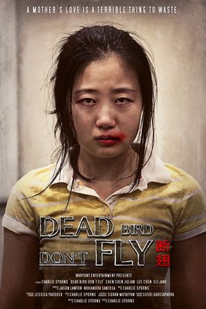 Dead Bird Don't Fly's poster image